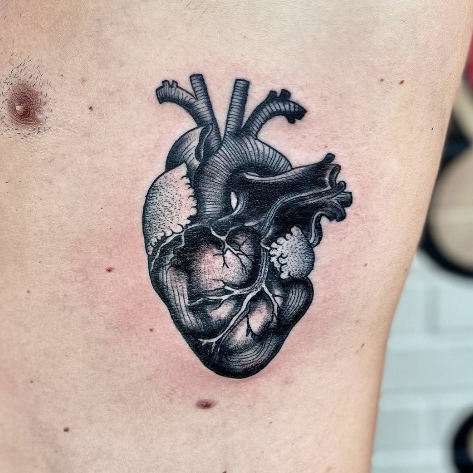 Tattoo of a anatomical heart
