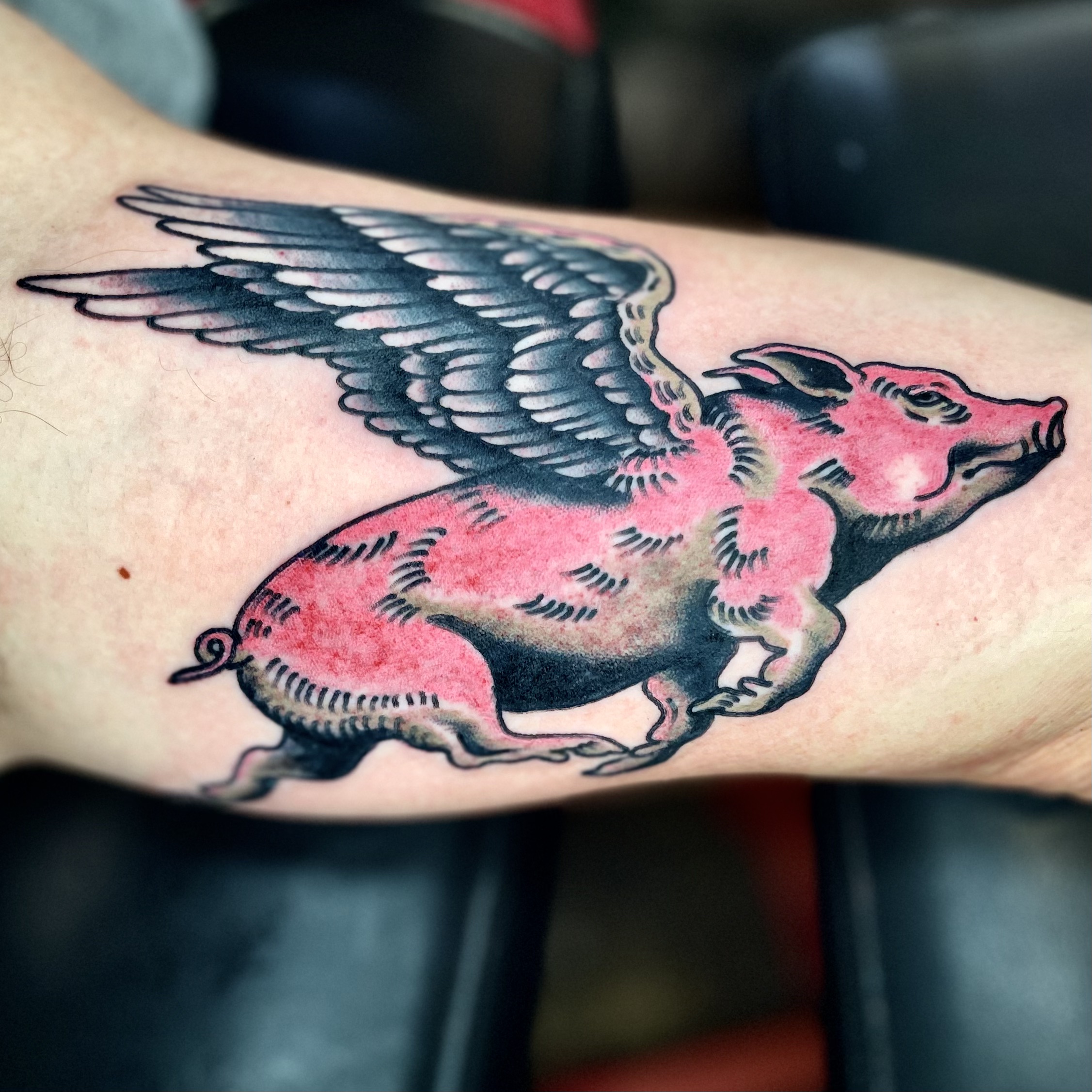 tattoo of a flying pig from one of the best tattoo shops in dallas texas