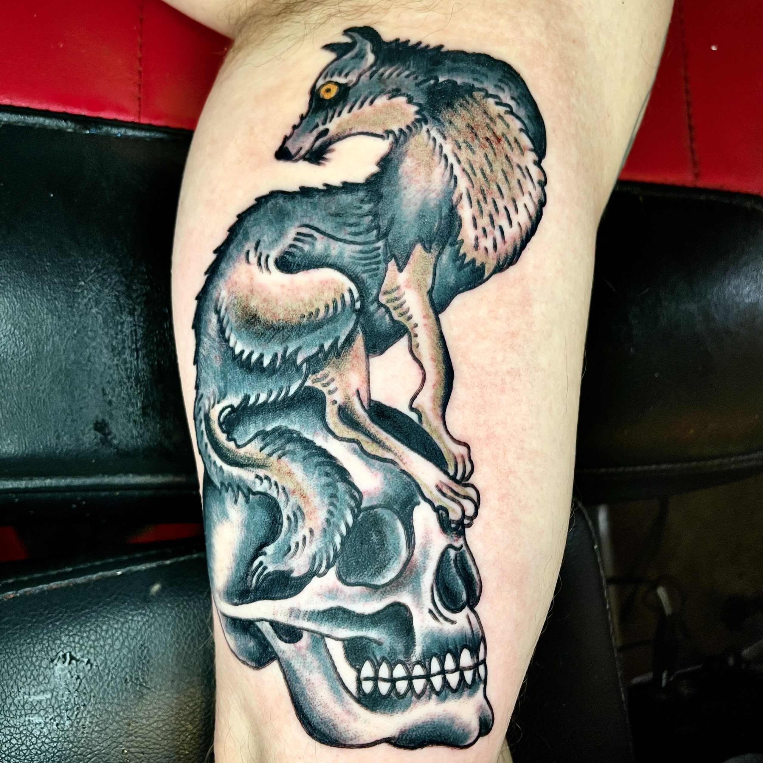 tattoo of a wolf and skull from dallas tx tattoo artist