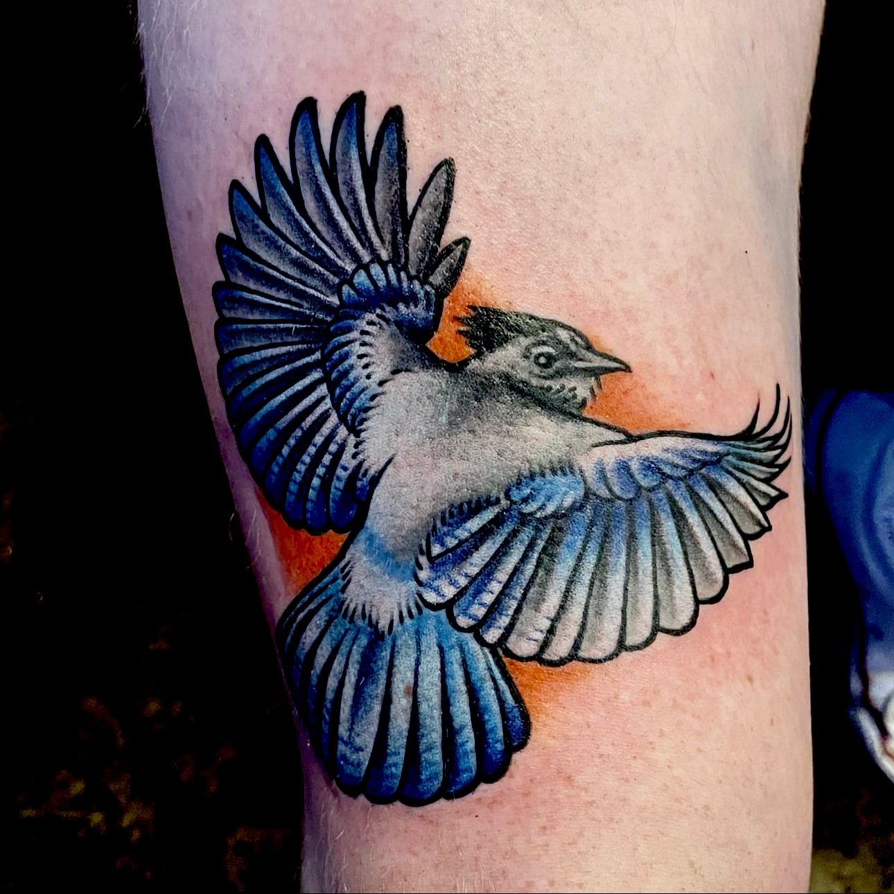 Tattoo of a blue bird