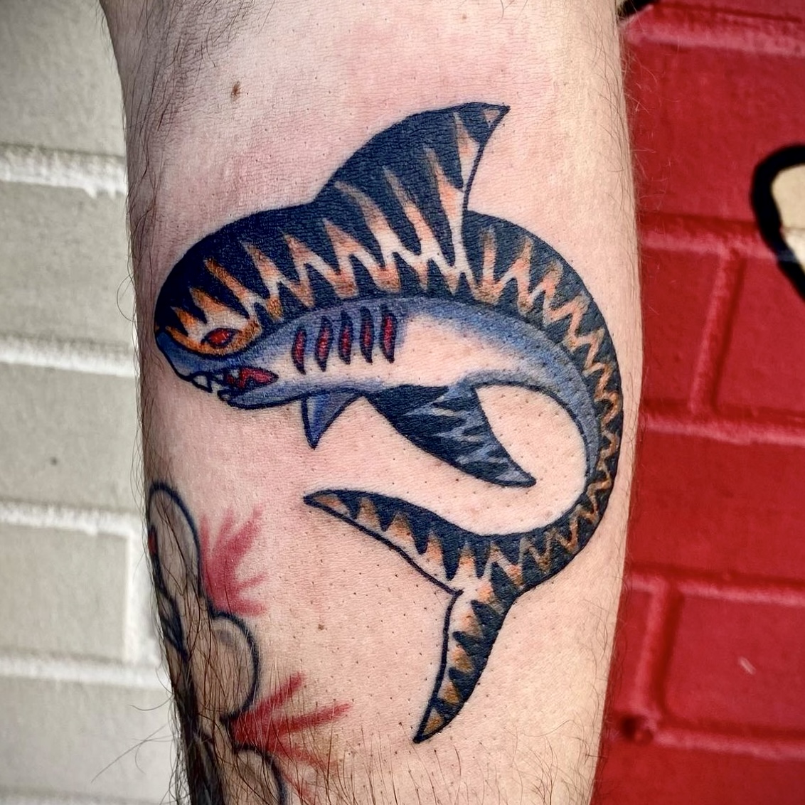 tattoo of a tiger shark